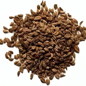 Ajwain Seed / Jemuju