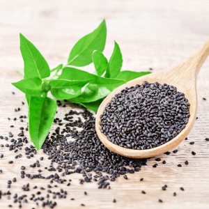 Basil Seeds / Biji Selasih