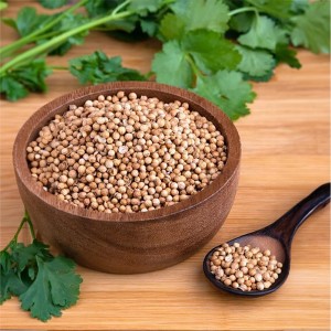 Coriander seeds / Biji Ketumbar