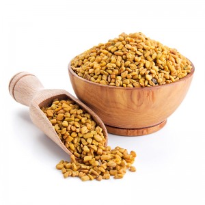 Fenugreek seeds / Halba