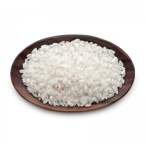 Glutinous Rice / Beras Pulut