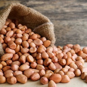 Groundnut / Kacang Tanah