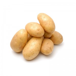 Holland Potato / Ubi Kentang Holland